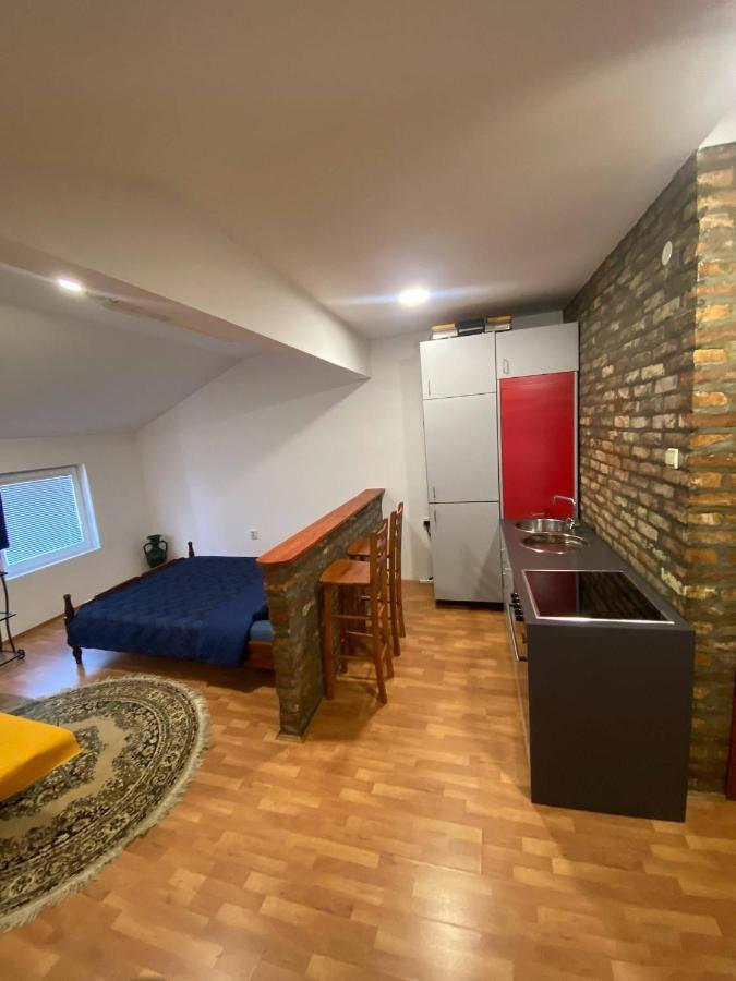 Twin Studio Apartments Zemun Belgrado Exterior foto